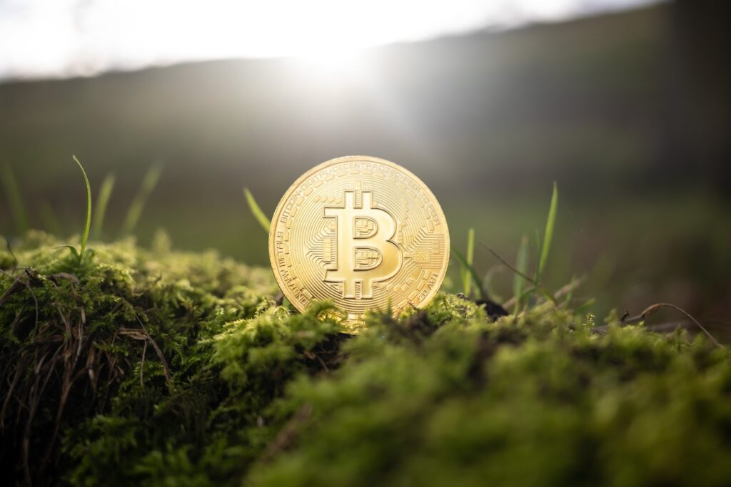 Bitcoin in the field of grass 