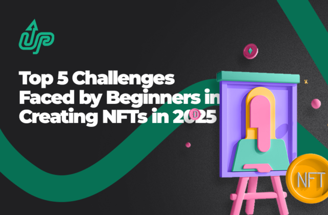 Challenges faced by beginners in creating NFTs