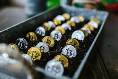 Selective Focus Photo of Silver and Gold Bitcoins 