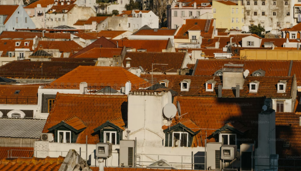 Roofs of houses in a city