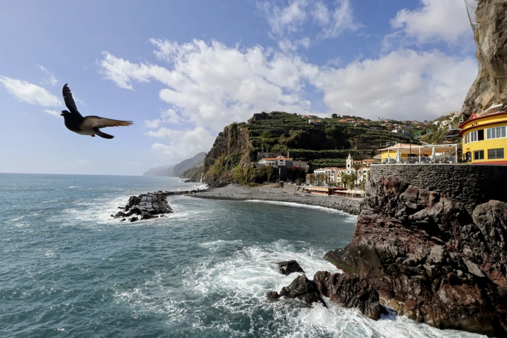 Coastal village in Madeira with cliffside homes, terraced green hills, rocky shoreline, and the Atlantic Ocean stretching along the coast under a partly cloudy sky.