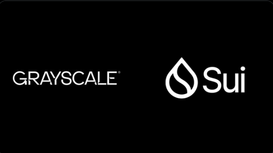 Grayscale and Sui logo