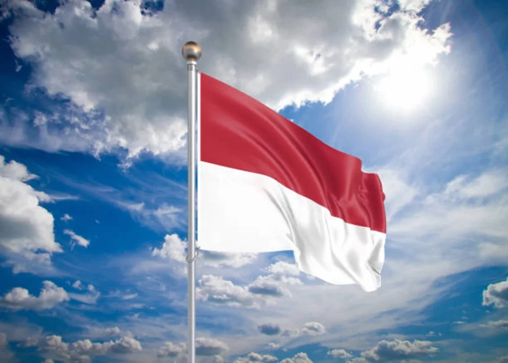 Red and white horizontal bicolor flag of Indonesia